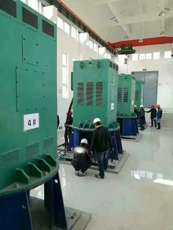 海沧某污水处理厂使用我厂的立式高压电机安装现场