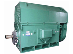 海沧Y系列6KV高压电机